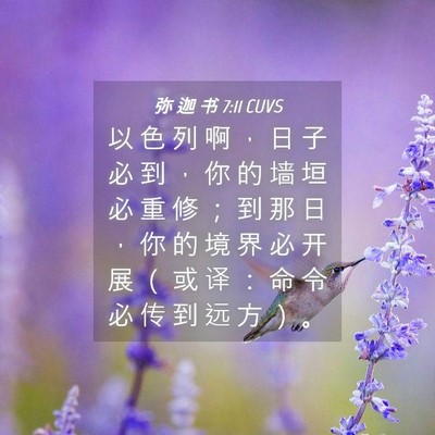 Picture 04 - 弥 迦 书 7:11 CUVS - 以 色 列 啊 ， 日 子 必 到 ， 你 的 - Bible Verse Picture