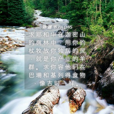 Picture 04 - 弥 迦 书 7:14 CUVS - 求 耶 和 华 在 迦 密 山 的 树 林 中 - Bible Verse Picture