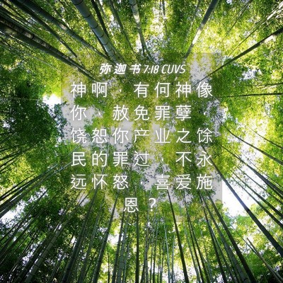 Picture 04 - 弥 迦 书 7:18 CUVS - 神 啊 ， 有 何 神 像 你 ， 赦 免 罪 - Bible Verse Picture