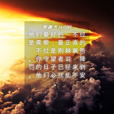 Picture 04 - 弥 迦 书 7:4 CUVS - 他 们 最 好 的 ， 不 过 是 蒺 藜 ； - Bible Verse Picture