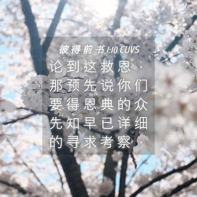 Picture 04 - 彼 得 前 书 1:10 CUVS - 论 到 这 救 恩 ， 那 预 先 说 你 们 - Bible Verse Picture