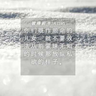 Picture 04 - 彼 得 前 书 1:14 CUVS - 你 们 既 作 顺 命 的 儿 女 ， 就 不 - Bible Verse Picture