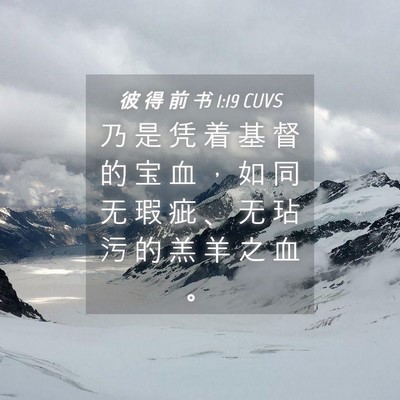 Picture 04 - 彼 得 前 书 1:19 CUVS - 乃 是 凭 着 基 督 的 宝 血 ， 如 同 - Bible Verse Picture