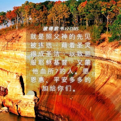 Picture 04 - 彼 得 前 书 1:2 CUVS - 就 是 照 父 神 的 先 见 被 拣 选 ， - Bible Verse Picture