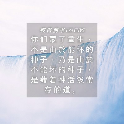 Picture 04 - 彼 得 前 书 1:23 CUVS - 你 们 蒙 了 重 生 ， 不 是 由 於 能 - Bible Verse Picture