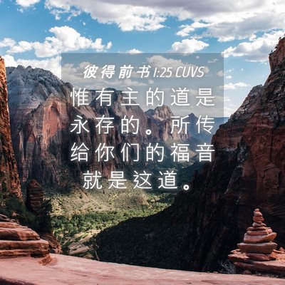 Picture 04 - 彼 得 前 书 1:25 CUVS - 惟 有 主 的 道 是 永 存 的 。 所 传 - Bible Verse Picture