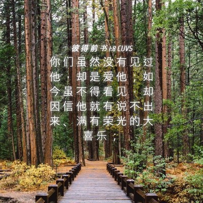 Picture 04 - 彼 得 前 书 1:8 CUVS - 你 们 虽 然 没 有 见 过 他 ， 却 是 - Bible Verse Picture