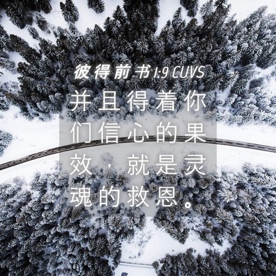 Picture 04 - 彼 得 前 书 1:9 CUVS - 并 且 得 着 你 们 信 心 的 果 效 ， - Bible Verse Picture