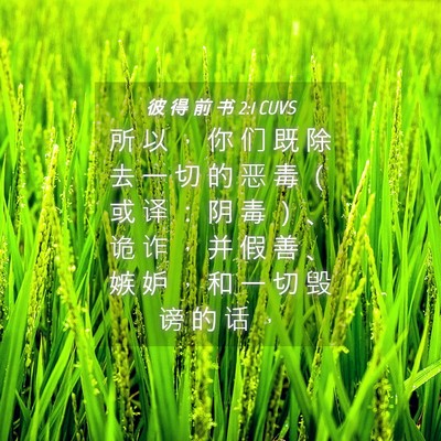 Picture 04 - 彼 得 前 书 2:1 CUVS - 所 以 ， 你 们 既 除 去 一 切 的 恶 - Bible Verse Picture