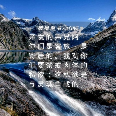 Picture 04 - 彼 得 前 书 2:11 CUVS - 亲 爱 的 弟 兄 阿 ， 你 们 是 客 旅 - Bible Verse Picture