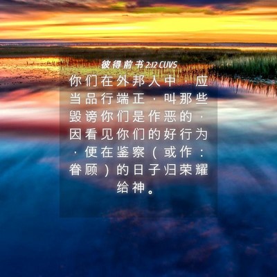 Picture 04 - 彼 得 前 书 2:12 CUVS - 你 们 在 外 邦 人 中 ， 应 当 品 行 - Bible Verse Picture