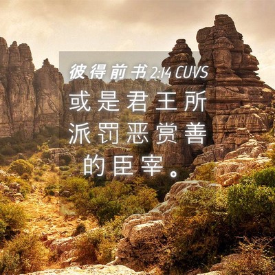 Picture 04 - 彼 得 前 书 2:14 CUVS - 或 是 君 王 所 派 罚 恶 赏 善 的 臣 - Bible Verse Picture
