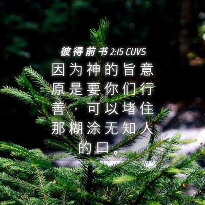 Picture 04 - 彼 得 前 书 2:15 CUVS - 因 为 神 的 旨 意 原 是 要 你 们 行 - Bible Verse Picture