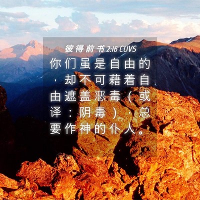 Picture 04 - 彼 得 前 书 2:16 CUVS - 你 们 虽 是 自 由 的 ， 却 不 可 藉 - Bible Verse Picture