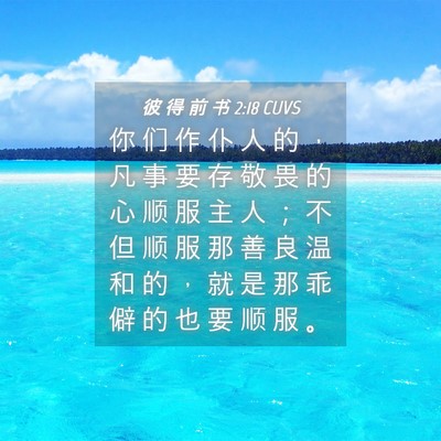Picture 04 - 彼 得 前 书 2:18 CUVS - 你 们 作 仆 人 的 ， 凡 事 要 存 敬 - Bible Verse Picture