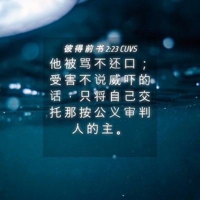 Picture 04 - 彼 得 前 书 2:23 CUVS - 他 被 骂 不 还 口 ； 受 害 不 说 威 - Bible Verse Picture