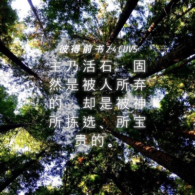 Picture 04 - 彼 得 前 书 2:4 CUVS - 主 乃 活 石 ， 固 然 是 被 人 所 弃 - Bible Verse Picture