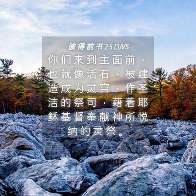 Picture 04 - 彼 得 前 书 2:5 CUVS - 你 们 来 到 主 面 前 ， 也 就 像 活 - Bible Verse Picture