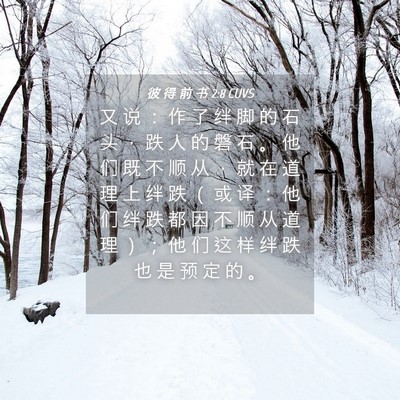 Picture 04 - 彼 得 前 书 2:8 CUVS - 又 说 ： 作 了 绊 脚 的 石 头 ， 跌 - Bible Verse Picture