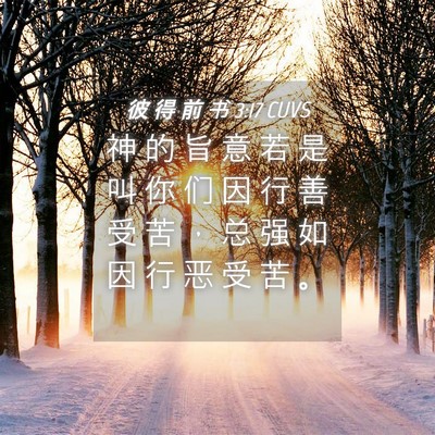 Picture 04 - 彼 得 前 书 3:17 CUVS - 神 的 旨 意 若 是 叫 你 们 因 行 善 - Bible Verse Picture