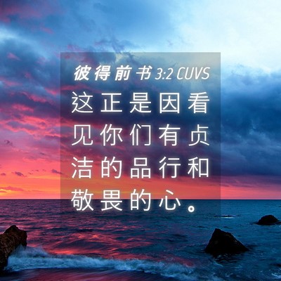 Picture 04 - 彼 得 前 书 3:2 CUVS - 这 正 是 因 看 见 你 们 有 贞 洁 的 - Bible Verse Picture