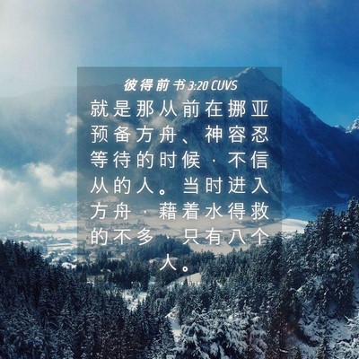 Picture 04 - 彼 得 前 书 3:20 CUVS - 就 是 那 从 前 在 挪 亚 预 备 方 舟 - Bible Verse Picture