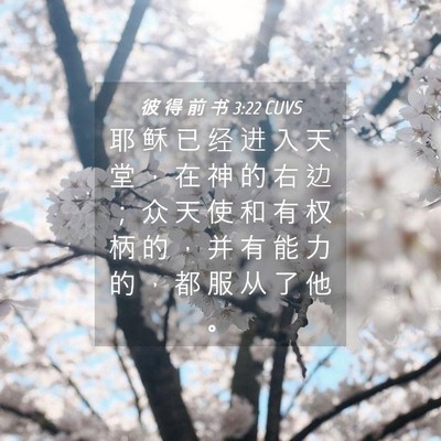 Picture 04 - 彼 得 前 书 3:22 CUVS - 耶 稣 已 经 进 入 天 堂 ， 在 神 的 - Bible Verse Picture