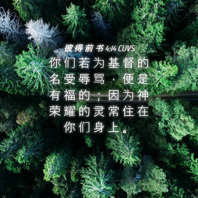 Picture 04 - 彼 得 前 书 4:14 CUVS - 你 们 若 为 基 督 的 名 受 辱 骂 ， - Bible Verse Picture