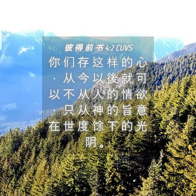 Picture 04 - 彼 得 前 书 4:2 CUVS - 你 们 存 这 样 的 心 ， 从 今 以 後 - Bible Verse Picture