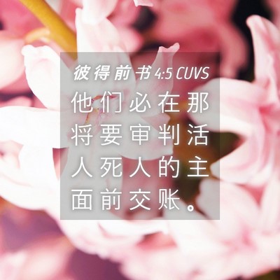 Picture 04 - 彼 得 前 书 4:5 CUVS - 他 们 必 在 那 将 要 审 判 活 人 死 - Bible Verse Picture