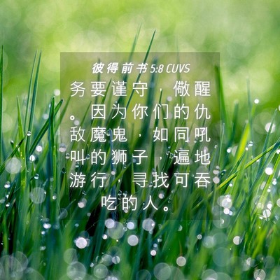 Picture 04 - 彼 得 前 书 5:8 CUVS - 务 要 谨 守 ， 儆 醒 。 因 为 你 们 - Bible Verse Picture