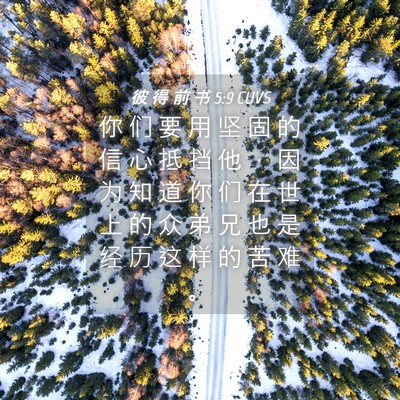 Picture 04 - 彼 得 前 书 5:9 CUVS - 你 们 要 用 坚 固 的 信 心 抵 挡 他 - Bible Verse Picture