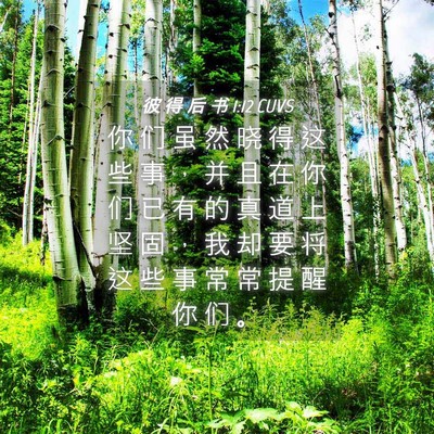 Picture 04 - 彼 得 后 书 1:12 CUVS - 你 们 虽 然 晓 得 这 些 事 ， 并 且 - Bible Verse Picture