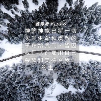 Picture 04 - 彼 得 后 书 1:3 CUVS - 神 的 神 能 已 将 一 切 关 乎 生 命 - Bible Verse Picture