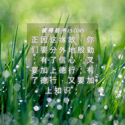 Picture 04 - 彼 得 后 书 1:5 CUVS - 正 因 这 缘 故 ， 你 们 要 分 外 地 - Bible Verse Picture