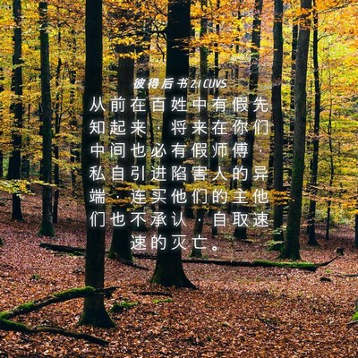 Picture 04 - 彼 得 后 书 2:1 CUVS - 从 前 在 百 姓 中 有 假 先 知 起 来 - Bible Verse Picture