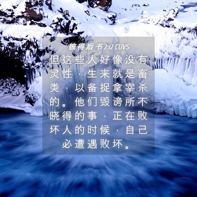 Picture 04 - 彼 得 后 书 2:12 CUVS - 但 这 些 人 好 像 没 有 灵 性 ， 生 - Bible Verse Picture