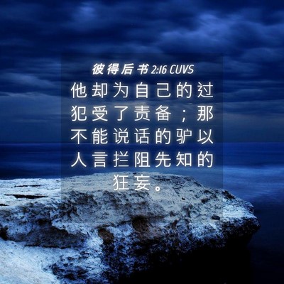 Picture 04 - 彼 得 后 书 2:16 CUVS - 他 却 为 自 己 的 过 犯 受 了 责 备 - Bible Verse Picture