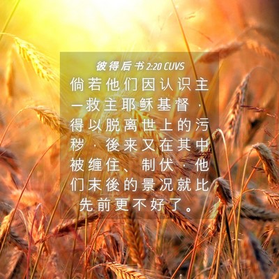 Picture 04 - 彼 得 后 书 2:20 CUVS - 倘 若 他 们 因 认 识 主 ─ 救 主 耶 - Bible Verse Picture