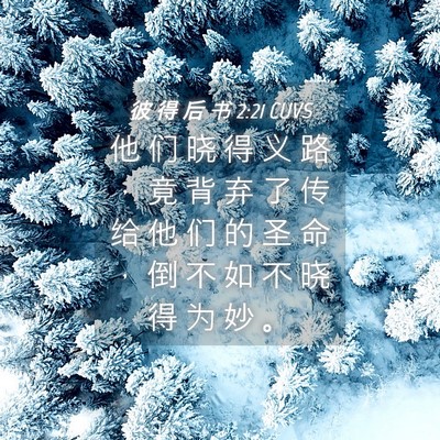 Picture 04 - 彼 得 后 书 2:21 CUVS - 他 们 晓 得 义 路 ， 竟 背 弃 了 传 - Bible Verse Picture