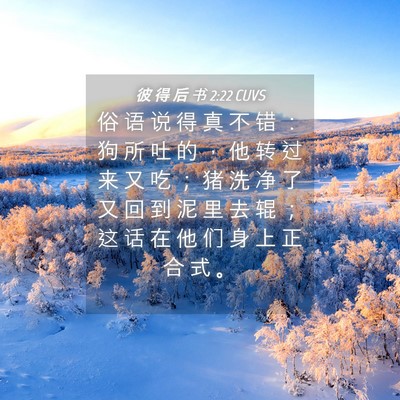 Picture 04 - 彼 得 后 书 2:22 CUVS - 俗 语 说 得 真 不 错 ： 狗 所 吐 的 - Bible Verse Picture