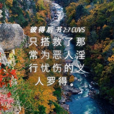 Picture 04 - 彼 得 后 书 2:7 CUVS - 只 搭 救 了 那 常 为 恶 人 淫 行 忧 - Bible Verse Picture