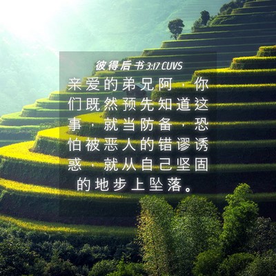 Picture 04 - 彼 得 后 书 3:17 CUVS - 亲 爱 的 弟 兄 阿 ， 你 们 既 然 预 - Bible Verse Picture