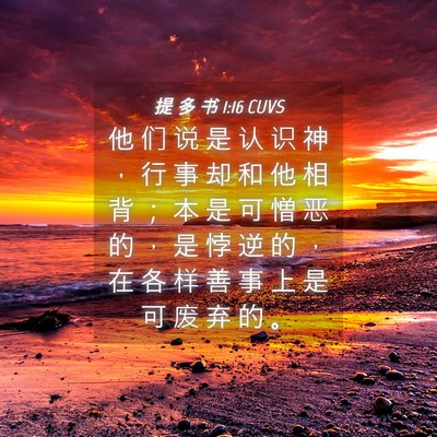 Picture 04 - 提 多 书 1:16 CUVS - 他 们 说 是 认 识 神 ， 行 事 却 和 - Bible Verse Picture