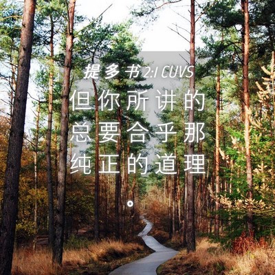 Picture 04 - 提 多 书 2:1 CUVS - 但 你 所 讲 的 总 要 合 乎 那 纯 正 - Bible Verse Picture
