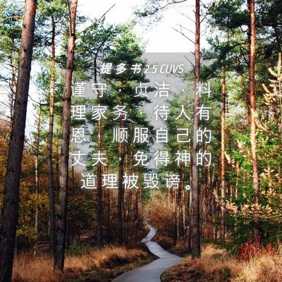 Picture 04 - 提 多 书 2:5 CUVS - 谨 守 ， 贞 洁 ， 料 理 家 务 ， 待 - Bible Verse Picture