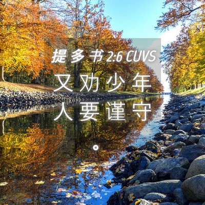 Picture 04 - 提 多 书 2:6 CUVS - 又 劝 少 年 人 要 谨 守 - Bible Verse Picture