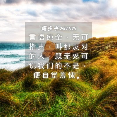 Picture 04 - 提 多 书 2:8 CUVS - 言 语 纯 全 ， 无 可 指 责 ， 叫 那 - Bible Verse Picture