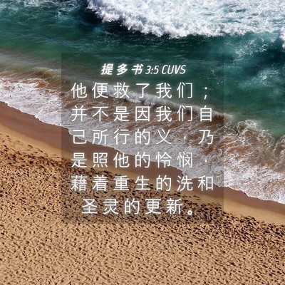 Picture 04 - 提 多 书 3:5 CUVS - 他 便 救 了 我 们 ； 并 不 是 因 我 - Bible Verse Picture