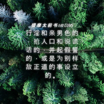 Picture 04 - 提 摩 太 前 书 1:10 CUVS - 行 淫 和 亲 男 色 的 ， 抢 人 口 和 - Bible Verse Picture